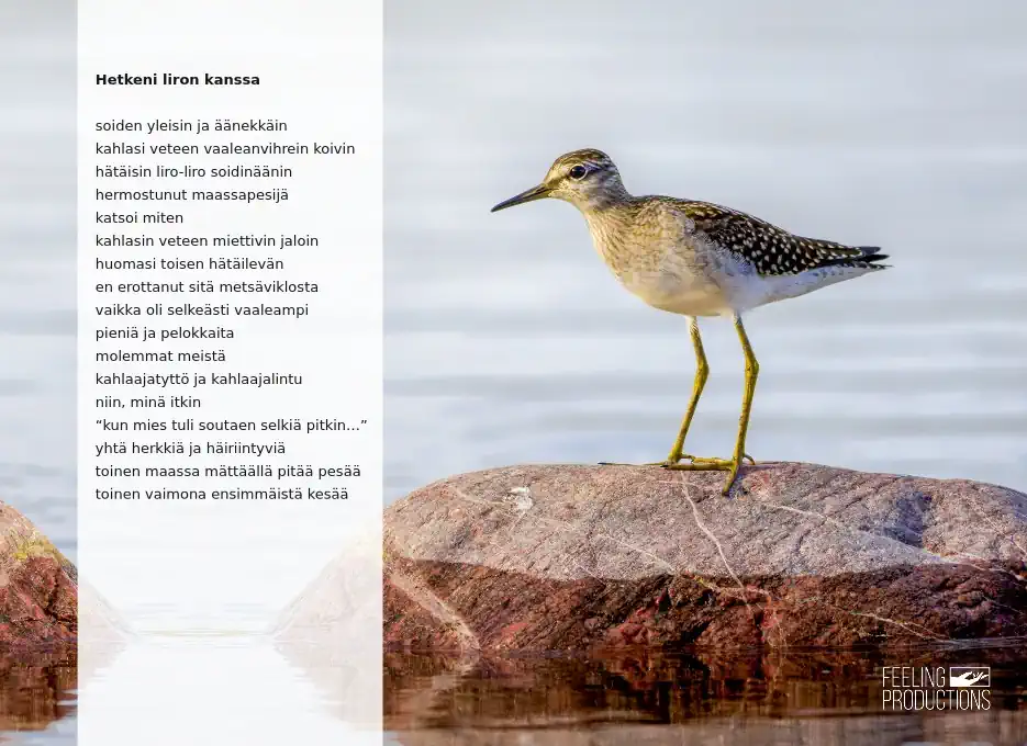 Hetkeni liron kanssa: soiden yleisin ja äänekkäin / kahlasi veteen vaaleanvihrein koivin / hätäisin liro-liro soidinäänin / hermostunut maassapesijä / katsoi miten / kahlasin veteen miettivin jaloin / huomasi toisen hätäilevän / en erottanut sitä metsäviklosta / vaikka oli selkeästi vaaleampi / pieniä ja pelokkaita / molemmat meistä / kahlaajatyttö ja kahlaajalintu / niin, minä itkin / "kun mies tuli soutaen selkiä pitkin..." / yhtä herkkiä ja häiriintyviä / toinen maassa mattaalla pitää pesää / toinen vaimona ensimmäistä kesää