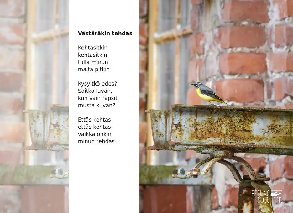 Västäräkin tehdas: Kehtasitkin / kehtasitkin / tulla minun / maita pitkin! / Kysyitkö edes? / Saitko luvan, / kun vain räpsit / musta kuvan? / Ettäs kehtas / ettäs kehtas / vaikka onkin / minun tehdas.